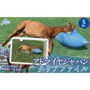 ふるさと納税 文房具・玩具 北海道 平取町 ア...の詳細画像1