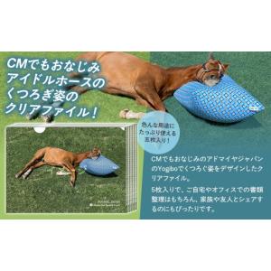 ふるさと納税 文房具・玩具 北海道 平取町 ア...の詳細画像2