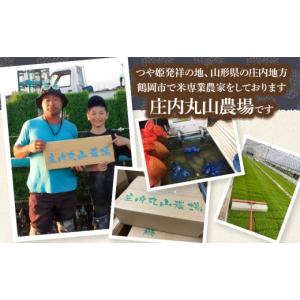 ふるさと納税 米 山形県 鶴岡市 令和7年産 ...の詳細画像4