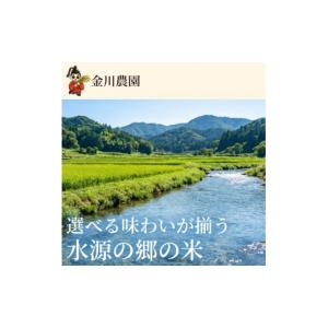 ふるさと納税 米 広島県 三原市 ヒカリ新世紀...の詳細画像3