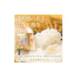 ふるさと納税 米 広島県 三原市 ヒカリ新世紀...の詳細画像4