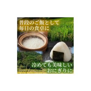 ふるさと納税 米 広島県 三原市 ヒカリ新世紀...の詳細画像5