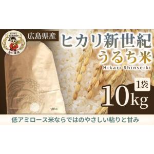 ふるさと納税 米 広島県 三原市 ヒカリ新世紀(...の商品画像