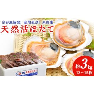 ふるさと納税 魚貝類 ホタテ 北海道 稚内市 ...の詳細画像1
