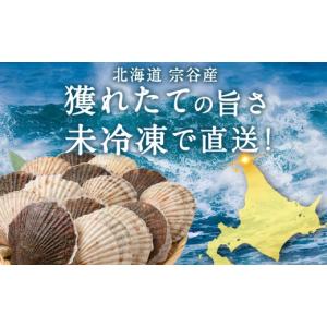 ふるさと納税 魚貝類 ホタテ 北海道 稚内市 ...の詳細画像2