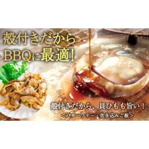 ふるさと納税 魚貝類 ホタテ 北海道 稚内市 ...の詳細画像5