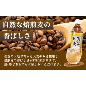 ふるさと納税 お茶類 佐賀県 鹿島市 佐賀の麦...の詳細画像4