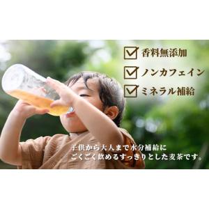 ふるさと納税 お茶類 佐賀県 鹿島市 佐賀の麦...の詳細画像5