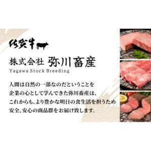 ふるさと納税 牛肉 佐賀県 大町町 定期便12...の詳細画像4