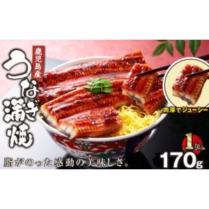 ふるさと納税 うなぎ 鹿児島県 鹿屋市 鹿児島...の詳細画像1