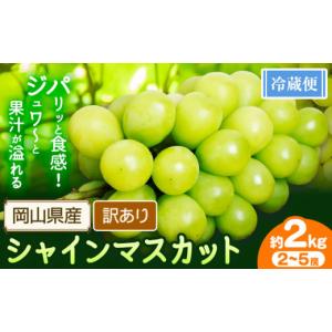 ふるさと納税 ぶどう マスカット 岡山県 浅口...の詳細画像1