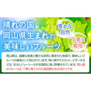 ふるさと納税 ぶどう マスカット 岡山県 浅口...の詳細画像2