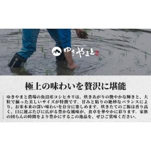 ふるさと納税 米 コシヒカリ 新潟県 津南町 ...の詳細画像4