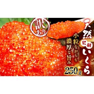 ふるさと納税 いくら 北海道 釧路市 先行予約...の詳細画像1