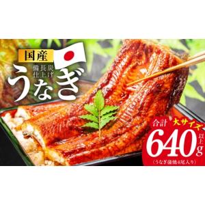ふるさと納税 うなぎ 大阪府 泉佐野市 特別規...の詳細画像1