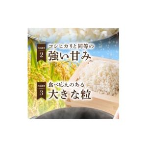 ふるさと納税 米 熊本県 天草市 S050-0...の詳細画像3