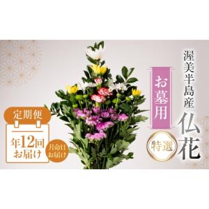 ふるさと納税 花・苗木 花束 愛知県 田原市 定期便　年12回 産地直送 《お墓用》 仏花 特選 日時指定可 生産額 日本一 田原市 渥美半島 月命日 お彼岸 お盆 …