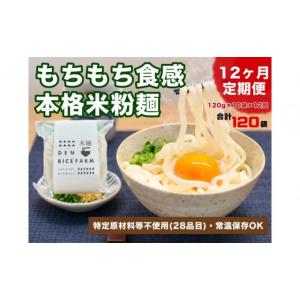 ふるさと納税 麺類 栃木県 大田原市 定期便 12ヶ月連続お届け グルテンフリー 無添加 米麺 120g 10個セット（白米麺10個）｜米粉 うどん 焼きそば パスタ 麺