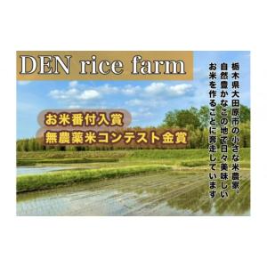 ふるさと納税 麺類 栃木県 大田原市 定期便 ...の詳細画像4