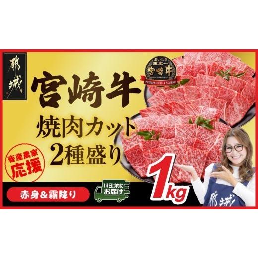 ふるさと納税 牛肉 焼肉・バーベキュー 宮崎県 都城市 畜産農家応援 宮崎牛焼肉2種1kgセット(霜...