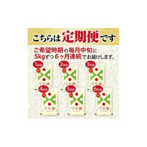 ふるさと納税 米 つや姫 山形県 遊佐町 定期...の詳細画像2