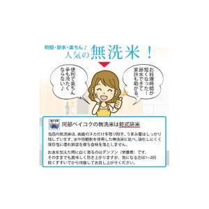 ふるさと納税 米 つや姫 山形県 遊佐町 定期...の詳細画像4