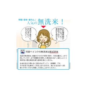 ふるさと納税 米 つや姫 山形県 遊佐町 定期...の詳細画像4