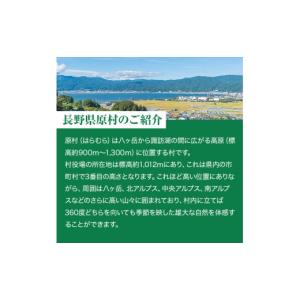 ふるさと納税 スポーツ・アウトドア 長野県 原...の詳細画像4