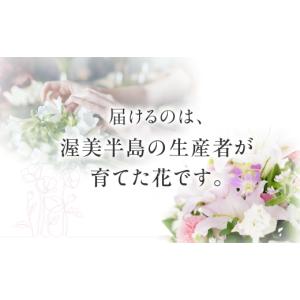 ふるさと納税 花・苗木 花束 愛知県 田原市 ...の詳細画像4