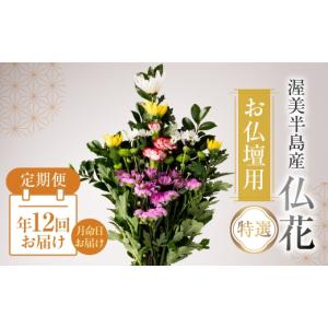 ふるさと納税 花・苗木 花束 愛知県 田原市 定期便　年12回 産地直送 《お仏壇用》 仏花 特選 日時指定可 生産額 日本一 田原市 渥美半島 月命日 お彼岸 お盆…