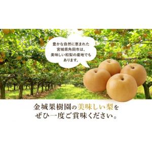 ふるさと納税 梨 宮城県 角田市 訳あり/20...の詳細画像3