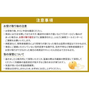 ふるさと納税 梨 宮城県 角田市 訳あり/20...の詳細画像4