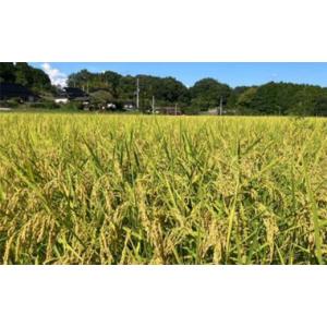 ふるさと納税 米 岡山県 津山市 2種食べ比べ...の詳細画像3