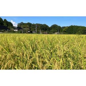 ふるさと納税 米 岡山県 津山市 先行受付 岡...の詳細画像3
