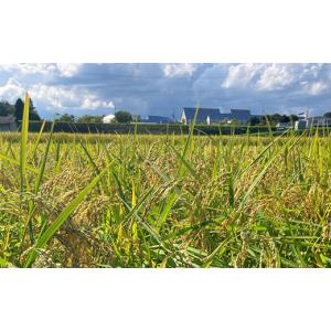 ふるさと納税 米 岡山県 津山市 先行受付 岡...の詳細画像3