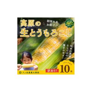 ふるさと納税 とうもろこし 長野県 原村 20...の詳細画像1