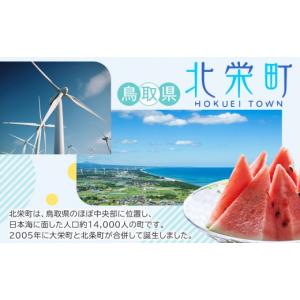 ふるさと納税 雑貨・日用品 キャラクター 鳥取...の詳細画像3