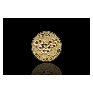 ふるさと納税 金工品 山梨県 甲府市 純金 1...の詳細画像3
