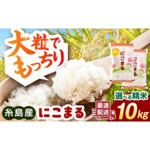 ふるさと納税 米 にこまる 福岡県 糸島市 白米 精米方法が選べる にこまる 10kg（5kg×2袋） 糸島市 ／ 玄米・精米専門店 新飼宗一郎商店 ADE020-1 白米
