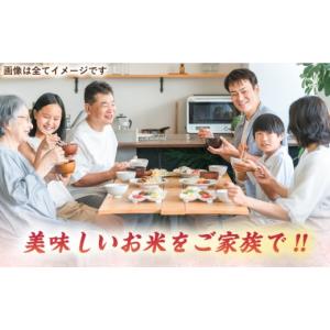 ふるさと納税 米 にこまる 福岡県 糸島市 白...の詳細画像5