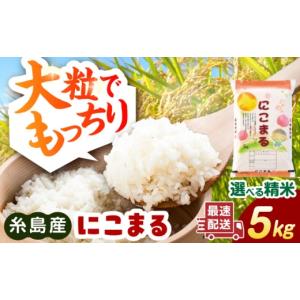 ふるさと納税 米 にこまる 福岡県 糸島市 白米 精米方法が選べる にこまる 5kg（5kg×1袋） 糸島市 ／ 玄米・精米専門店 新飼宗一郎商店 ADE021-1 白米