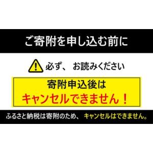 ふるさと納税 雑貨・日用品 千葉県 銚子市 お...の詳細画像5