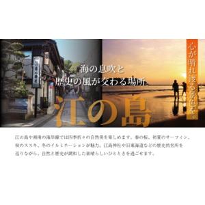 ふるさと納税 体験チケット 神奈川県 藤沢市 ...の詳細画像4