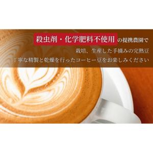 ふるさと納税 コーヒー コーヒー豆 香川県 高...の詳細画像3