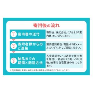 ふるさと納税 自転車 神奈川県 伊勢原市 電動...の詳細画像2