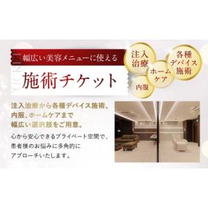 ふるさと納税 美容 愛知県 名古屋市 美容医療...の詳細画像4