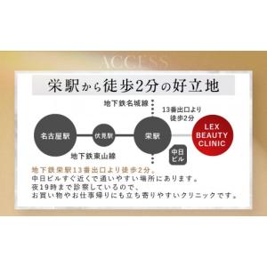 ふるさと納税 美容 愛知県 名古屋市 美容医療...の詳細画像5