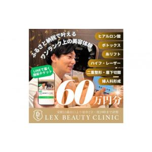 ふるさと納税 美容 愛知県 名古屋市 美容医療　LEX BEAUTY CLINIC　名古屋　栄　施術チケット60万円分