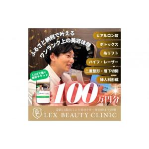 ふるさと納税 美容 愛知県 名古屋市 美容医療...の詳細画像1