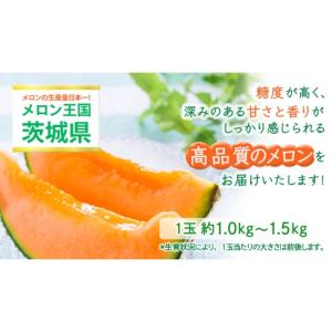 ふるさと納税 メロン メロン赤肉 茨城県 つく...の詳細画像2